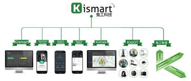 2018年上海市健身俱樂部數(shù)據(jù)報(bào)告 信息技術(shù)驅(qū)動(dòng)行業(yè)變革與未來展望